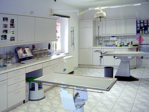 Tierarzt Viertel Behandlungsraum in Halle-Neustadt